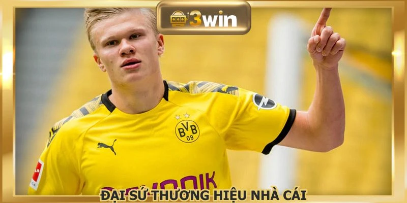 Gương mặt đại sứ đóng vai trò quan trọng tại nền tảng