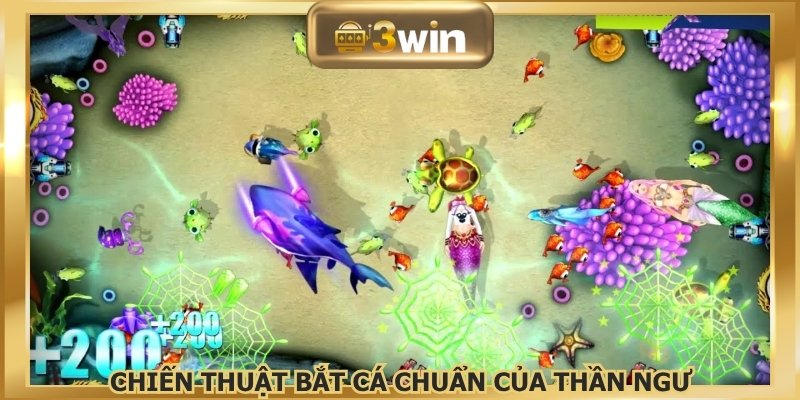Chiến thuật bắt cá chuẩn của thần ngư