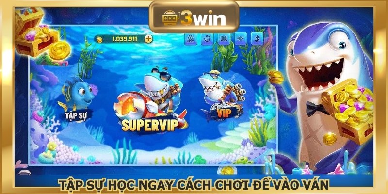Tập sự học ngay cách chơi để vào ván
